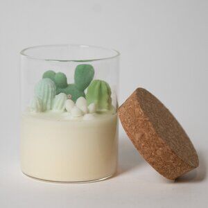 Zoet Studio Soy Cactus Terrarium Candle | Musk Sea Salt Rosewater